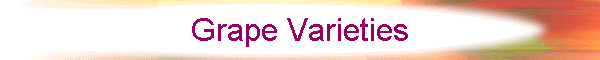Grape Varieties